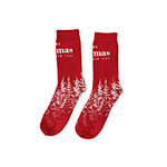 Socks-Logo