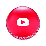 Squeeze Cricket Ball-Logo