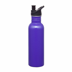 Carnival 750ml Water Bottle-Logo