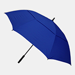 Stormy Umbrella-Logo