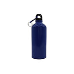 Voyager 600ml Bottle-Logo